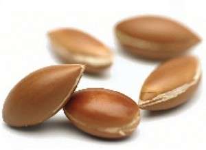 Semi di Argania Argan_Flickr